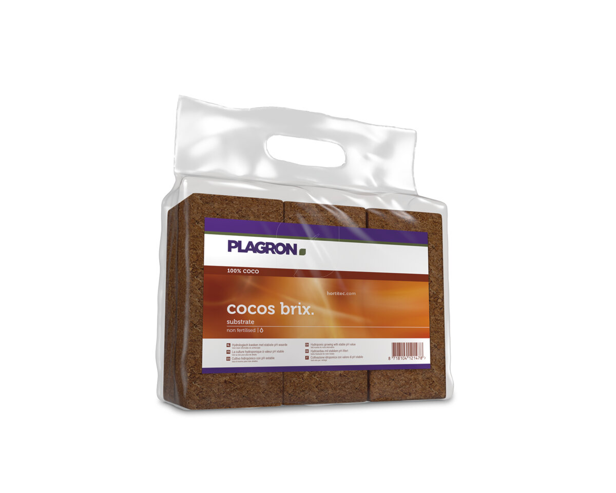 797040-cocos-brix-plagron.jpg