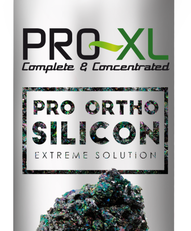 Pro-ortho silicon 1 l pro-xl